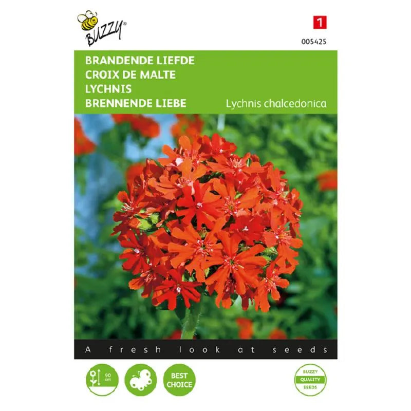 Buzzy® Lychnis Burning Love