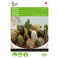 Buzzy® Cactus Mix Many varieties