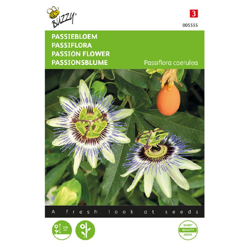 Buzzy® Passiflora, Passionflower