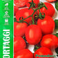 Royal Tomato Principe Borghese 332