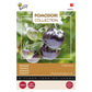 Buzzy® Pomodori, Indigo Rose Tomato (black)