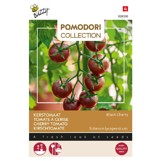 Buzzy® Pomodori, Black Cherry Tomato