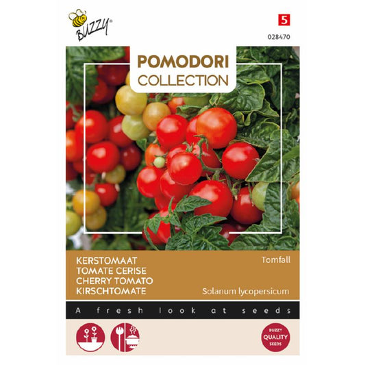 Buzzy® Pomodori, Tomfall Cherry Tomato 028470