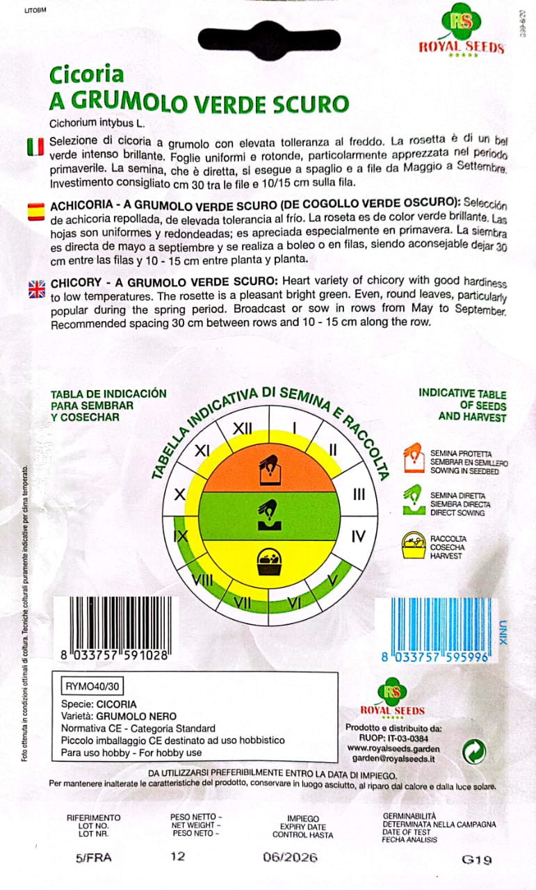 Royal Chicory Grumolo Verde Scuro 40/30