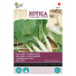 Buzzy® Xotica Pak choi Chinese cabbage 080455