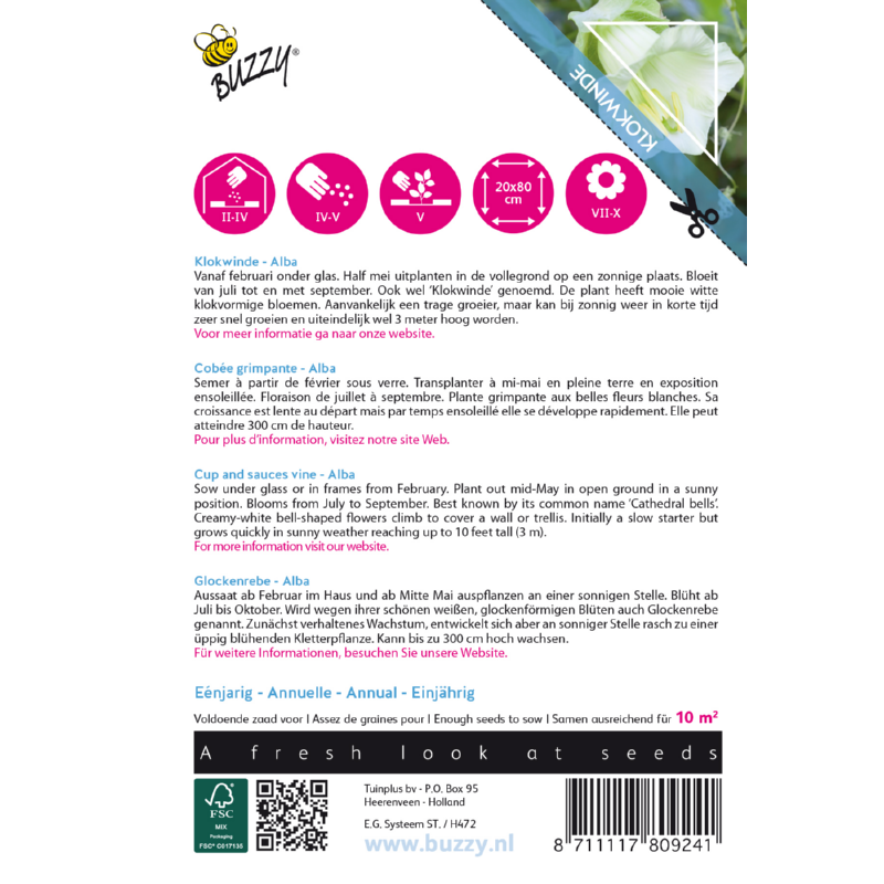 Buzzy® Climbing Flowers, Cobaea Alba White 080924