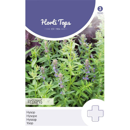 HT Hyssop 11090