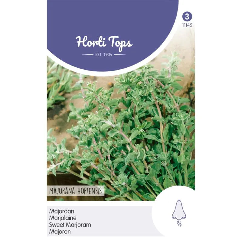 Horti Tops® Sweet Marjoram (Majorana Hortensis)