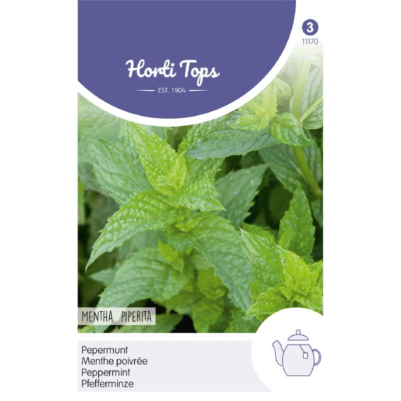 Peppermint seeds