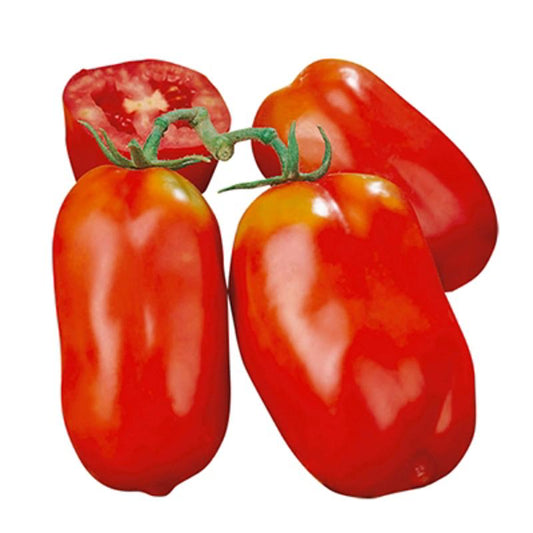 Tomato “Scatolone” Heirloom 50 Seeds