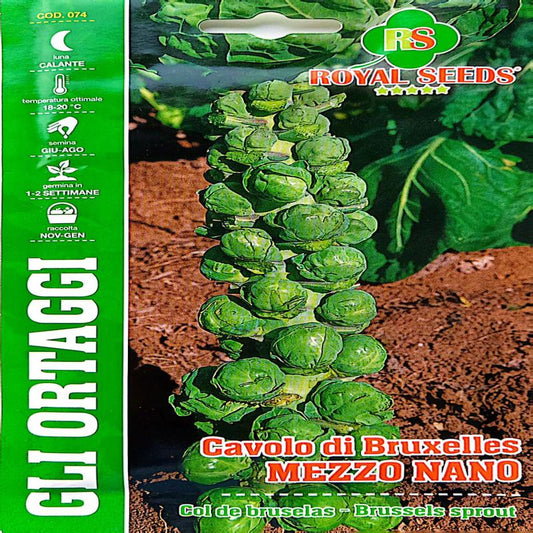 Brussels Sprout Seeds 6g – Buy Vegetable Seeds Online in Pakistan