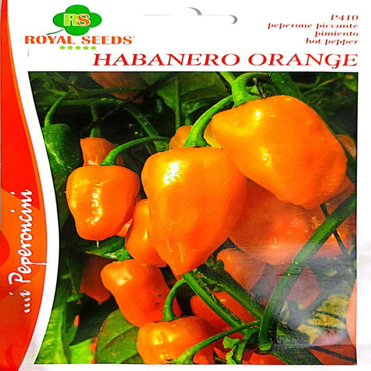 Royal Hot Pepper Habanero Orange approx 60seeds