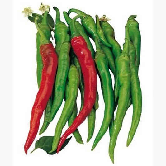 Peper, Peperone Dolce Di Bergamo Approx.30 Seeds