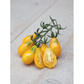 HT Tomatoes Yellow Pear-shaped