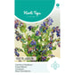 Horti Tops® Cerinthe Major Atropupurenscens