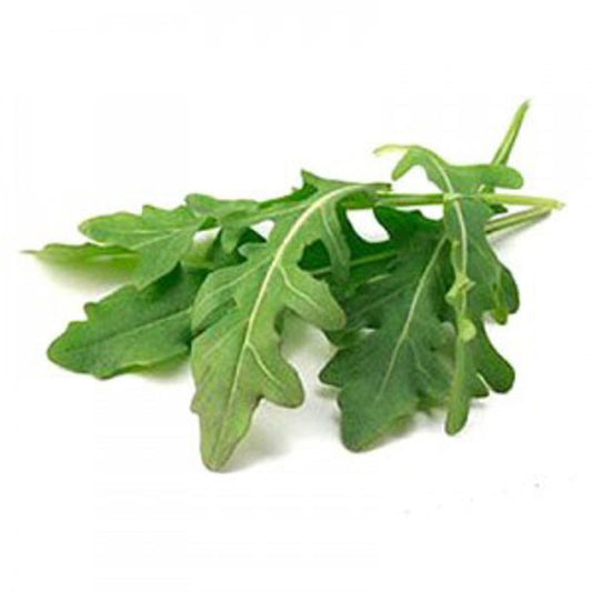 Rocket Coltivata Approx.1g Seeds