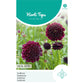 HT Scabiosa, Dove's-foot deep dark purple 147055
