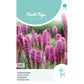 HT Liatris, Bottlebrush purple-pink