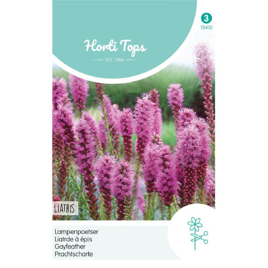 HT Liatris, Bottlebrush purple-pink