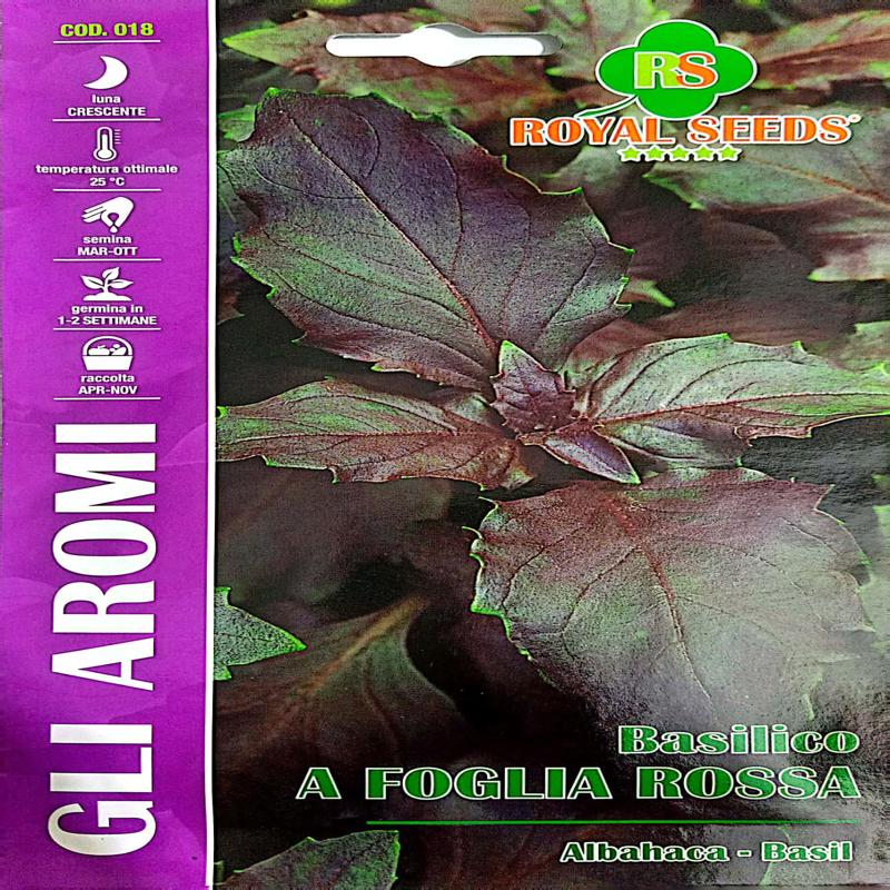 Basil Foglia Rossa Red approx 2g