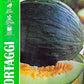Royal Melon Tendral Verde 282