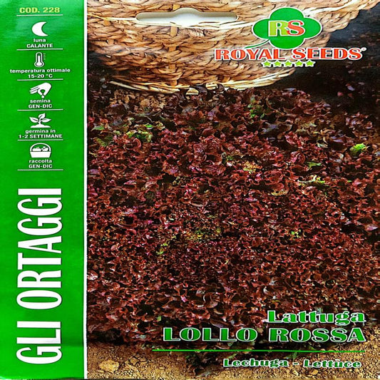 Royal Lettuce Red Lollo Rossa Approx. Seeds 6gram