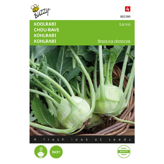 Buzzy Kohlrabi Green 002390