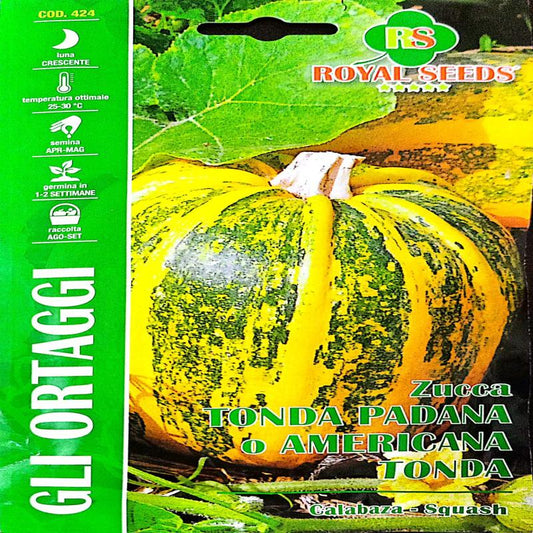 Royal Squash Approx. Seeds 4 gram