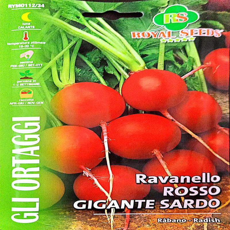 Royal Radish Rosso Gigante Sardo Approx. Seeds 15gram