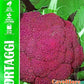 Royal Cauliflower COD-056
