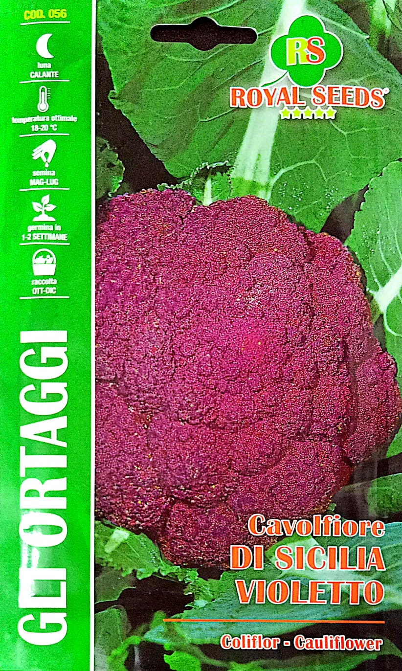 Royal Cauliflower COD-056