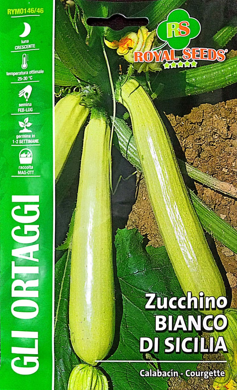 Royal Zucchino RYM0146/46