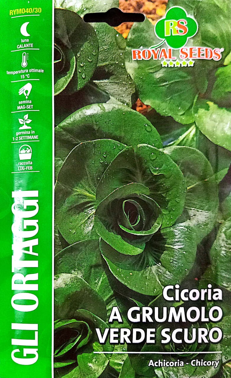 Royal Chicory Grumolo Verde Scuro 40/30