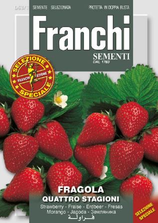 Franchi Strawberry D63/1