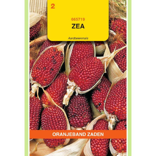 OBZ Zea, Strawberry Corn 665719