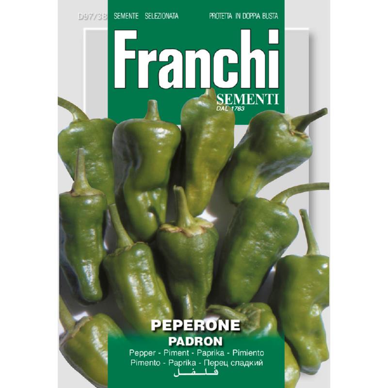 Padron Sweet Pepper Seeds (Hari Mirch) 1.5g – Buy Chilli Seeds Online in Pakistan