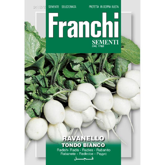Franchi White Radish D112/2