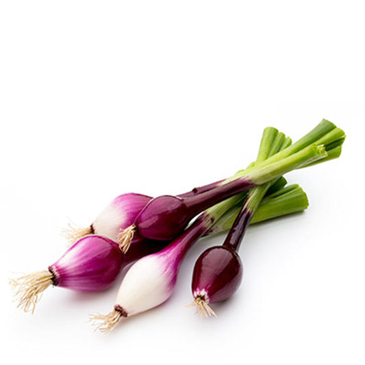 Red Tropea Onion Approx.150-200 Seeds