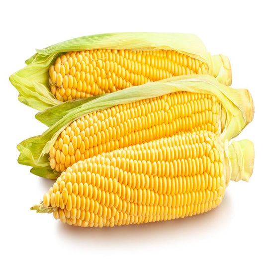 Sweet Corn Approx.2g Seeds