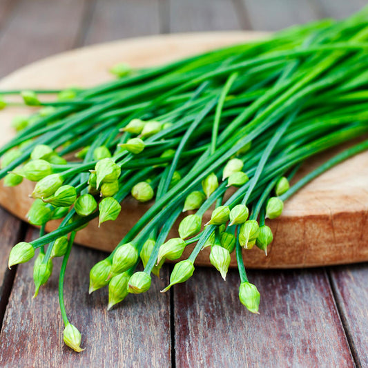 GARLIC CHIVES APPROX SEEDS 300