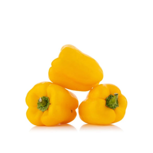 Capsicum Yellow 50-Seeds