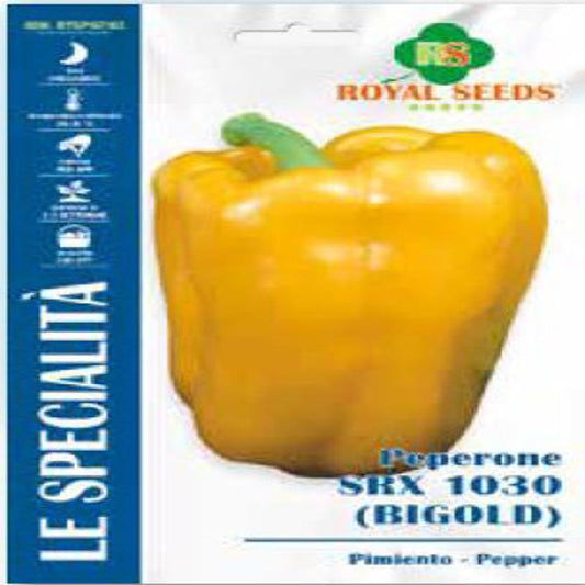 Royal Pepper Bigold approx  150 Seeds F1