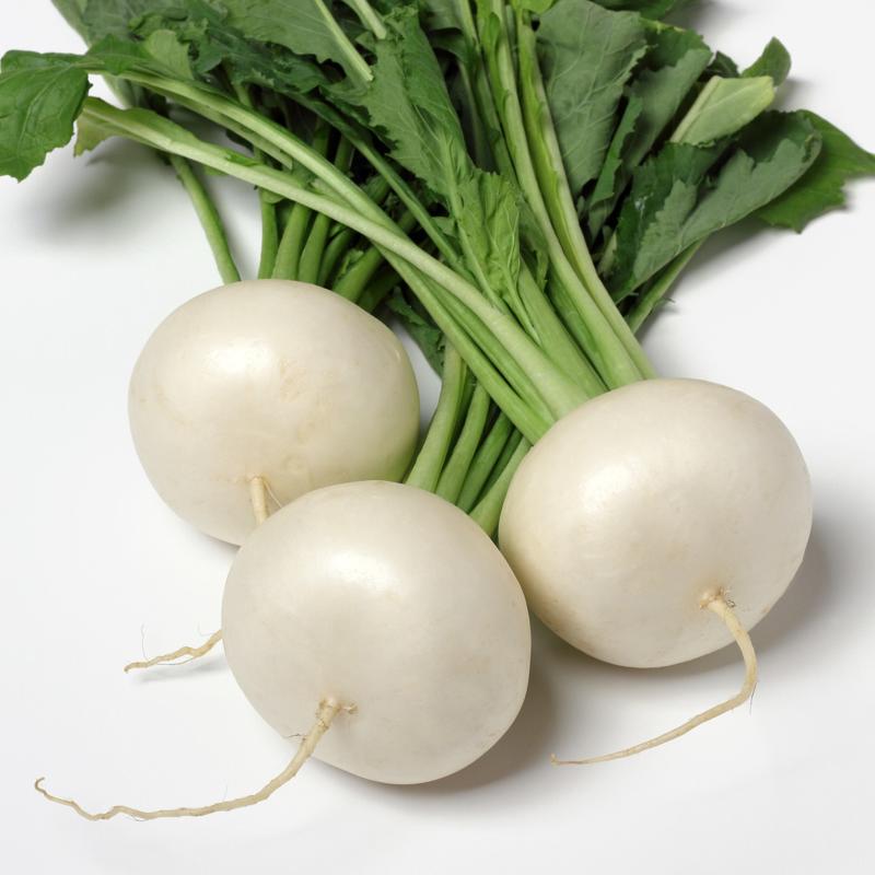 Turnip White Approx.3g Seeds