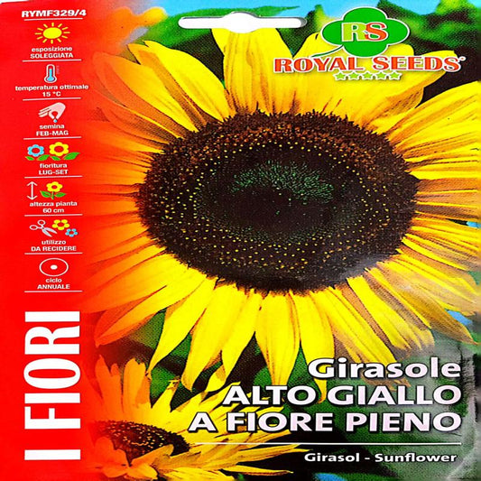 Sunflower girasole alto gaillo a fiore pieno approx 2.5gram
