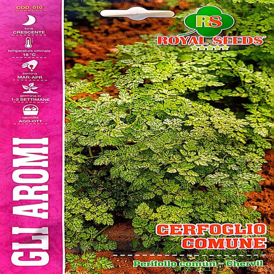 Cerfoglio comune chervil approx 4gram