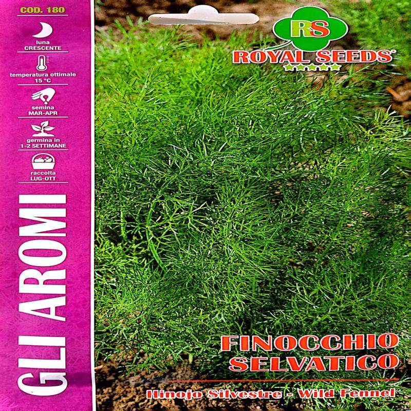Wild Fennel Seeds (Jangli Saunf) 3g – Buy Herb Seeds Online in Pakistan