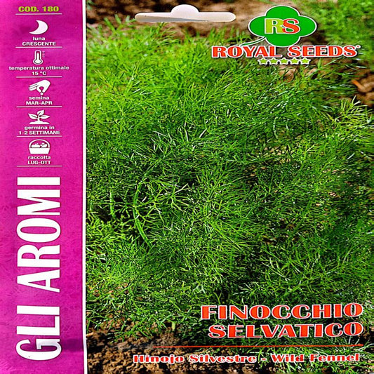 Wild Fennel approx 3gram