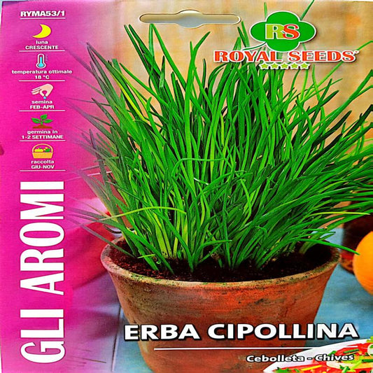 Chives Seeds (Pyazi Herb) 2g – Buy Herb Seeds Online in Pakistan
