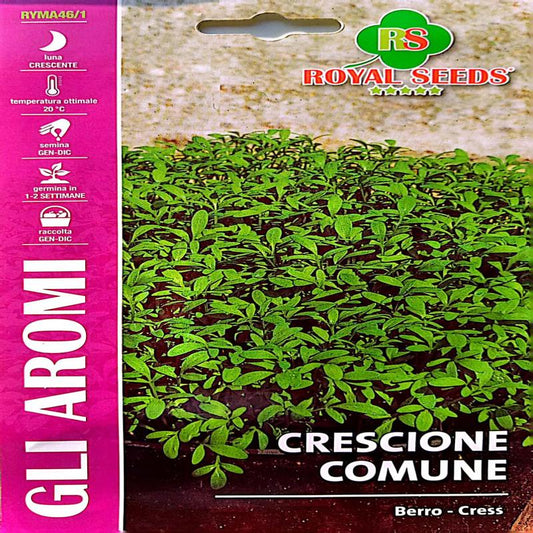 Garden Cress Seeds (Haleem Booti) 4g – Buy Herb Seeds Online in Pakistan