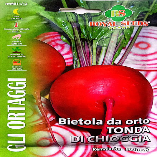 Tonda di Chioggia Beetroot Seeds 8g – Buy Vegetable Seeds Online in Pakistan